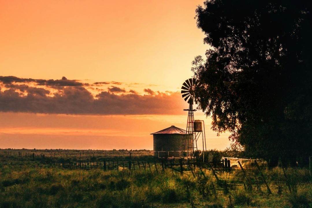 Grain bin with windmill at sunset