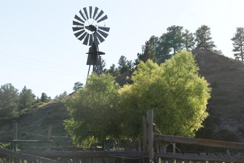 A windmill on a hill behind some trees