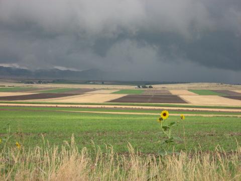 Banner County fields in the springtime